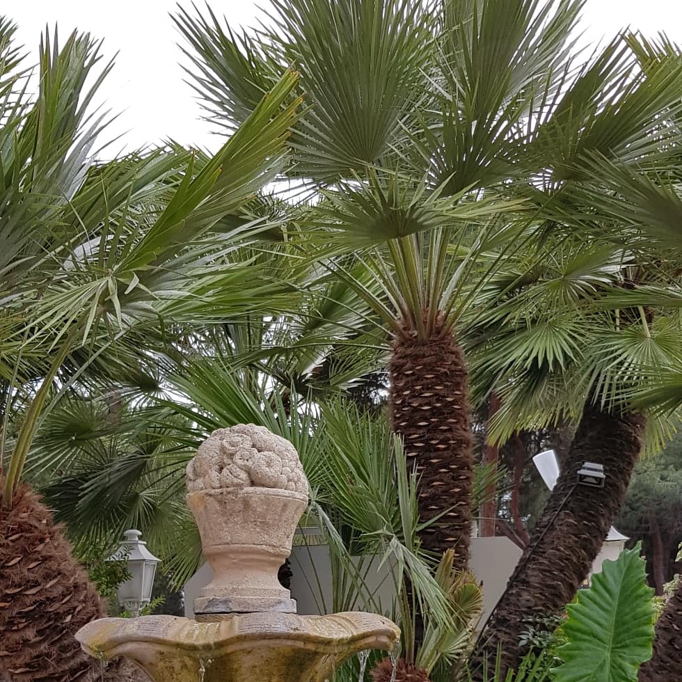 Photo n° 1 de l'avis de Nath.a fait le 11/06/2019 à 18:13