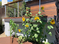 Ed’s gardening - Photo 9 - Car repair in Bell, CA, Long Beach