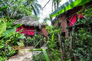 Samana Tropical Jungle Village - TREE HOUSE Hotel image