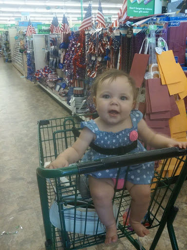 Dollar Store «Dollar Tree», reviews and photos, 200 N Gates Dr, Bloomington, IN 47404, USA