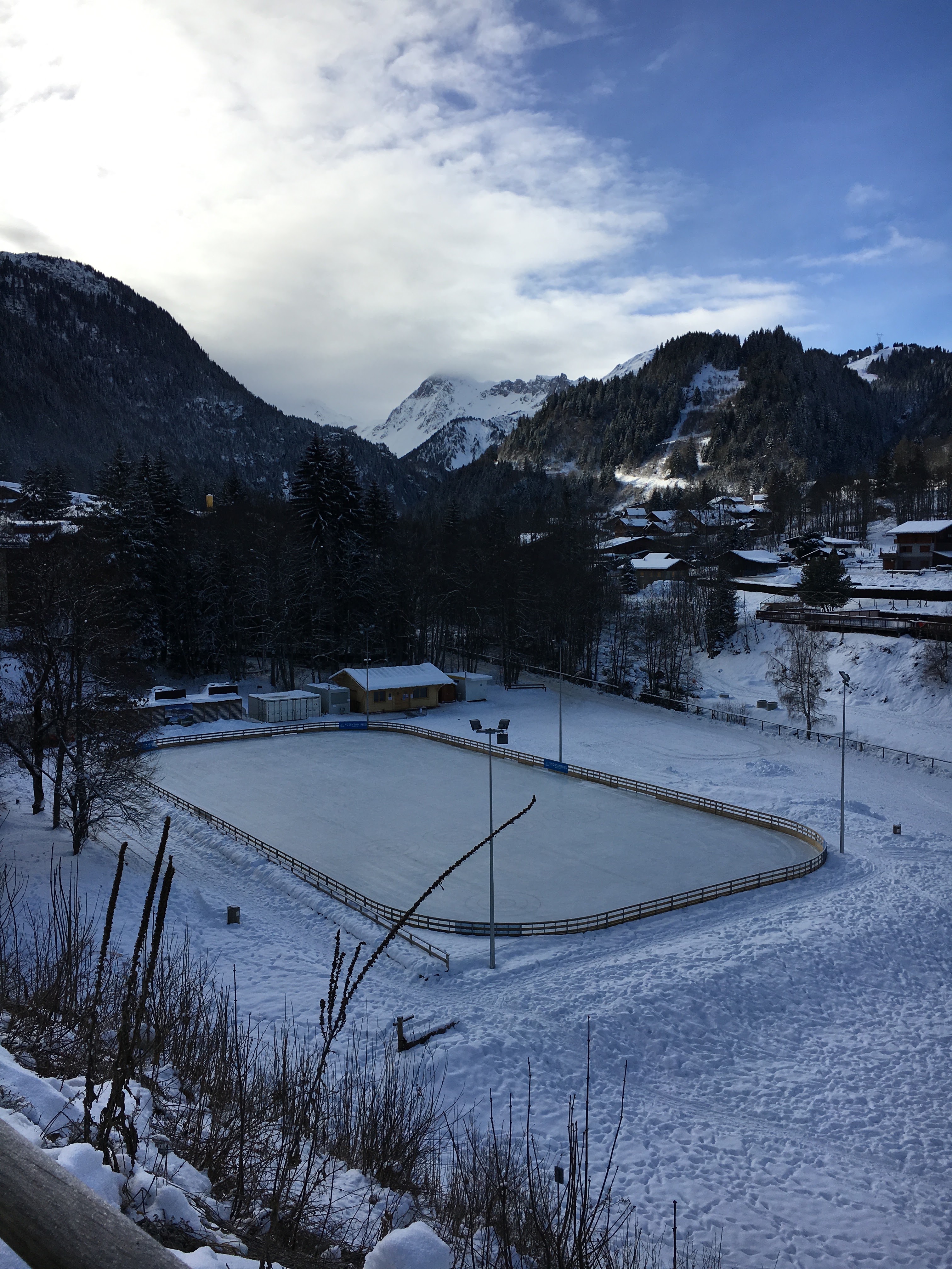 Photo n° 24 de l'avis de V. fait le 26/01/2019 à 11:08