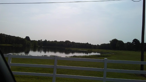 Golf Shop «Pine Valley Golf Course», reviews and photos, 9311 Old Tom Box Rd, Sherwood, AR 72120, USA