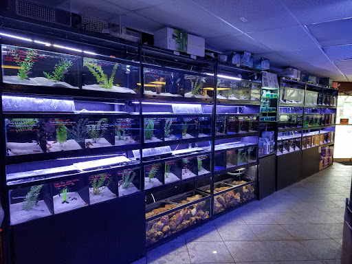 Pet Store «Total Aquariums», reviews and photos, 325 Sunrise Hwy, Lynbrook, NY 11563, USA