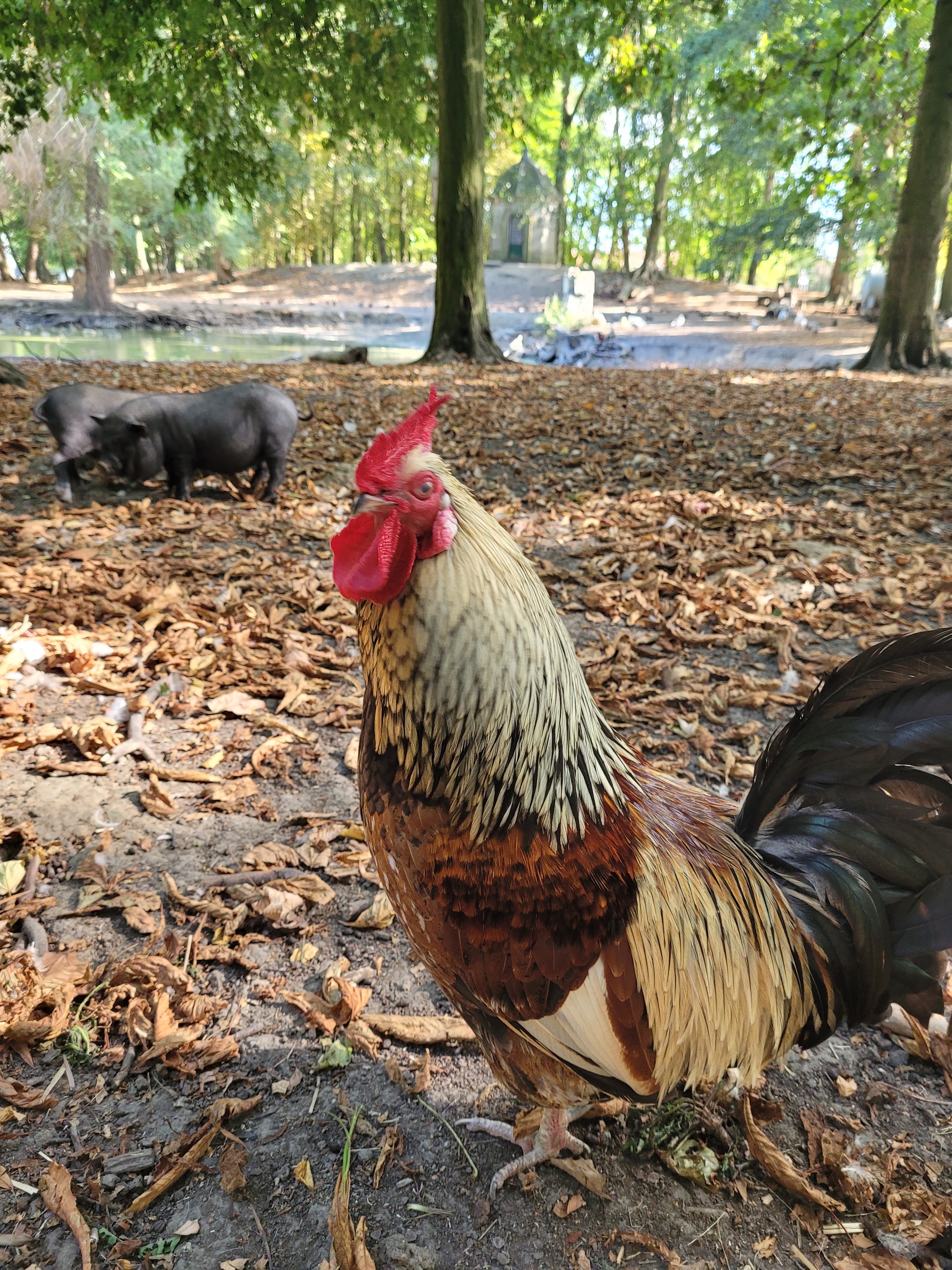 Photo n° 6 de l'avis de severine.v fait le 28/08/2022 à 17:45