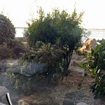 Photo n°3 de l'avis de Laura.a fait le 24/10/2021 à 18:39 sur le  Ristorante La Dinette à Grado