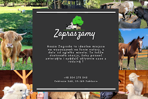 Alpaki Zagroda Zabłocie - Agroturystka image