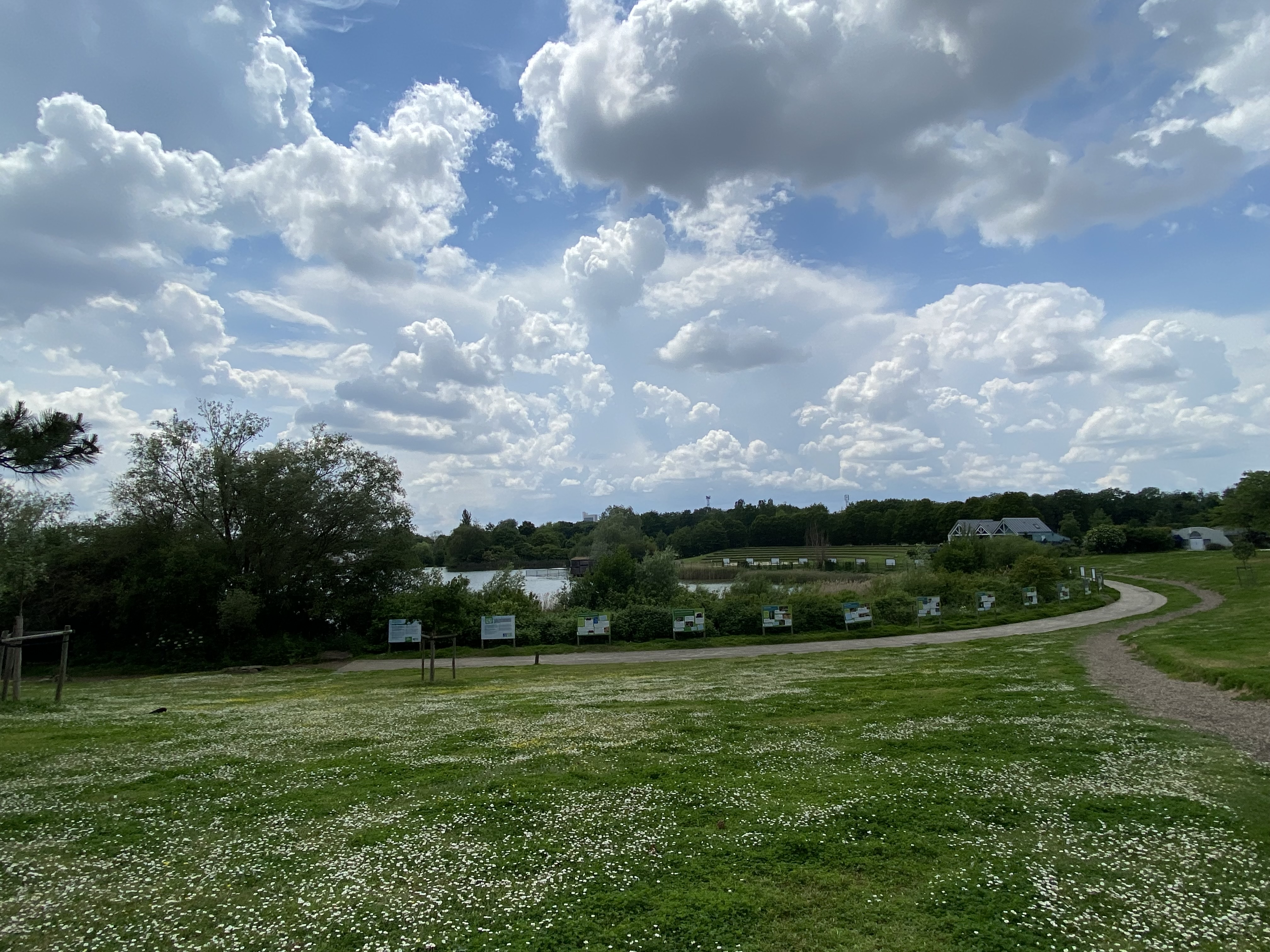 Photo n° 1 de l'avis de ZAHI.a fait le 02/06/2021 à 12:43