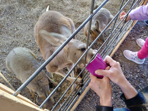 Casino «Running Aces Casino & Racetrack», reviews and photos, 15201 Zurich St, Columbus, MN 55025, USA