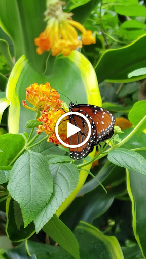 Botanical Garden «Franklin Park Conservatory and Botanical Gardens», reviews and photos, 1777 E Broad St, Columbus, OH 43203, USA