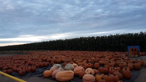 Twin Cities Maze - photo 68