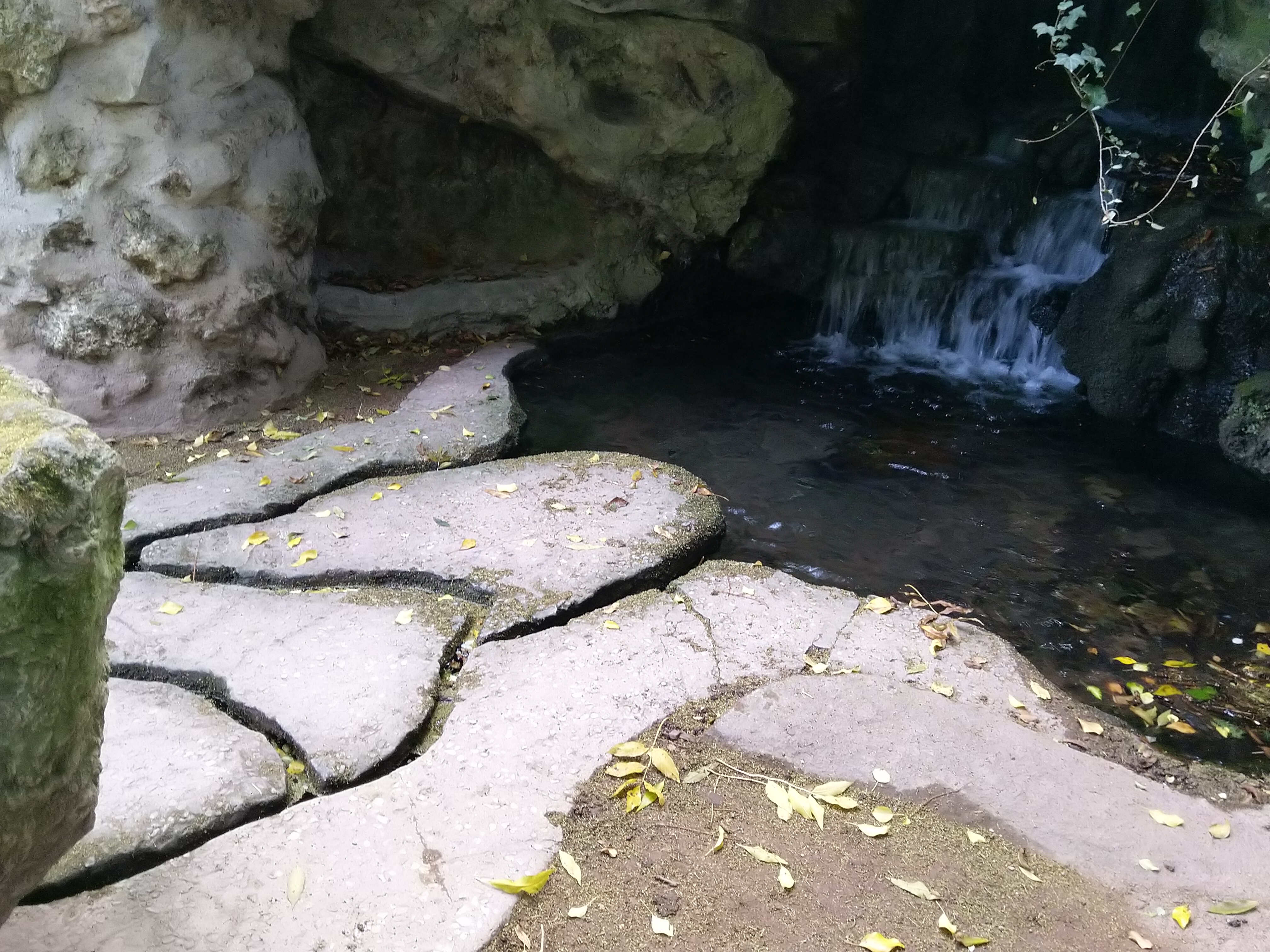 Photo n° 11 de l'avis de Marie-Laure.e fait le 30/10/2018 à 09:37
