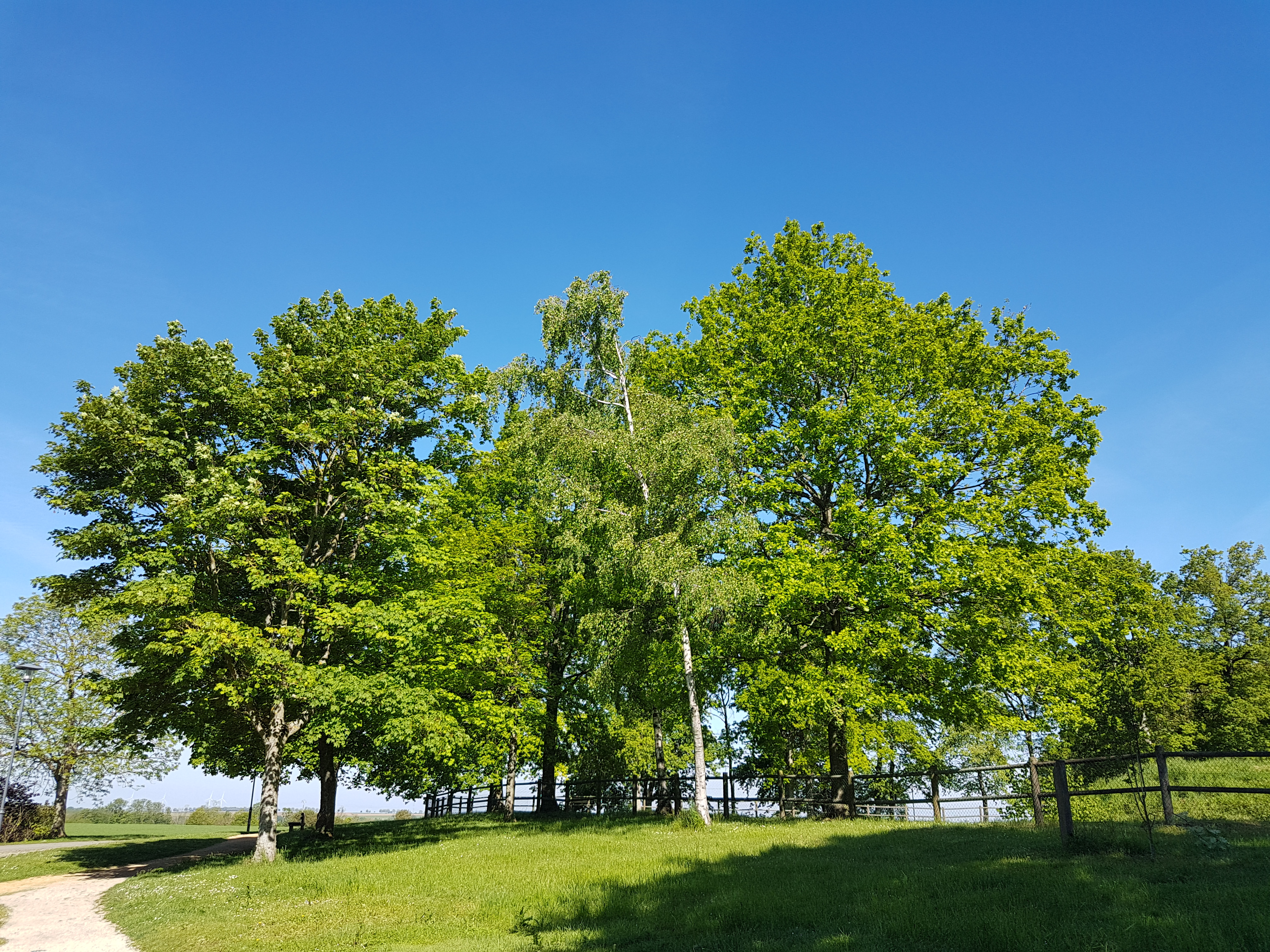 Photo n° 2 de l'avis de Maryse.l fait le 16/05/2019 à 10:39