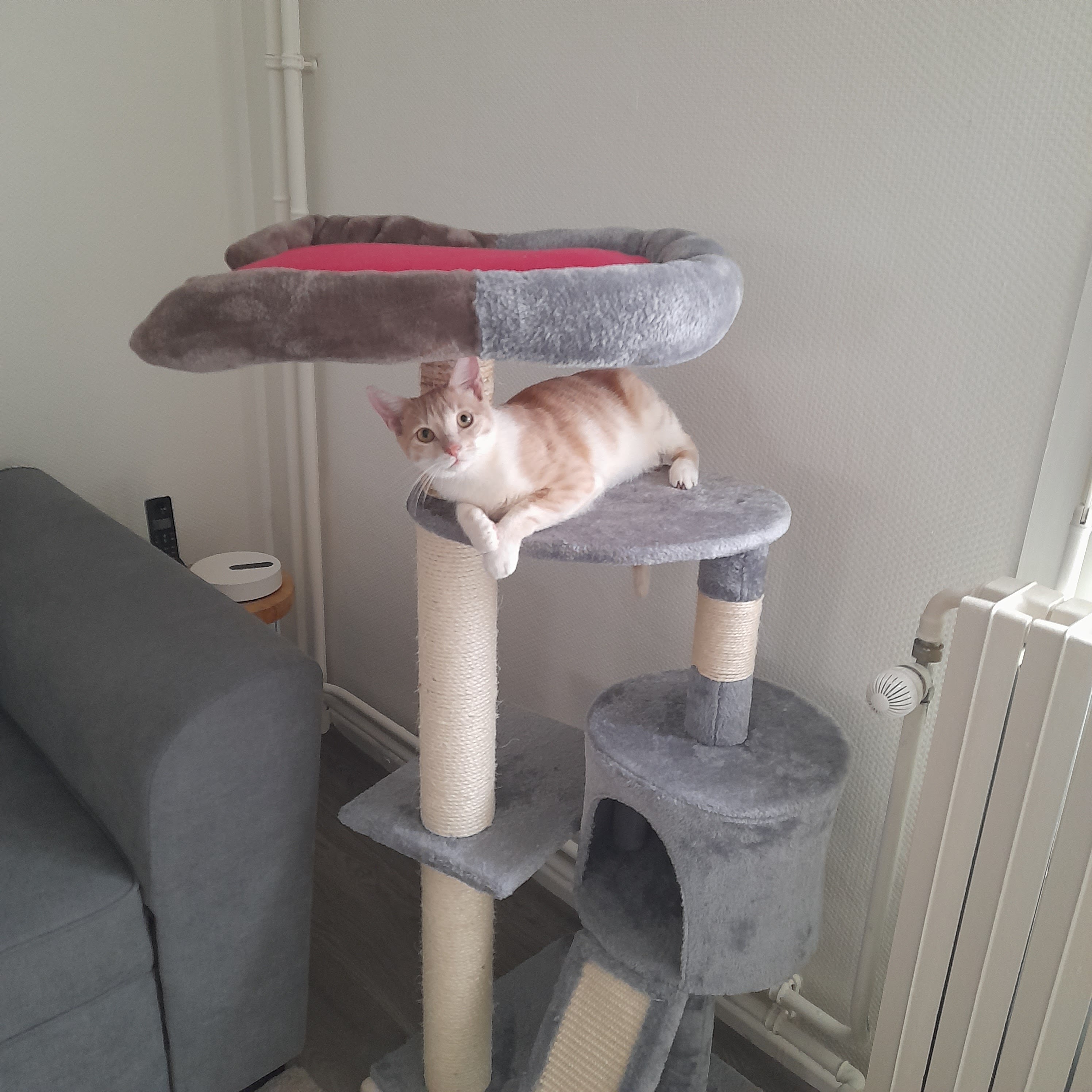 Photo n° 1 de l'avis de celine.a fait le 16/02/2024 à 16:44