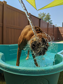 Escape the Crate - Garden City - Photo 4 - Car repair in Boise, ID, Boise