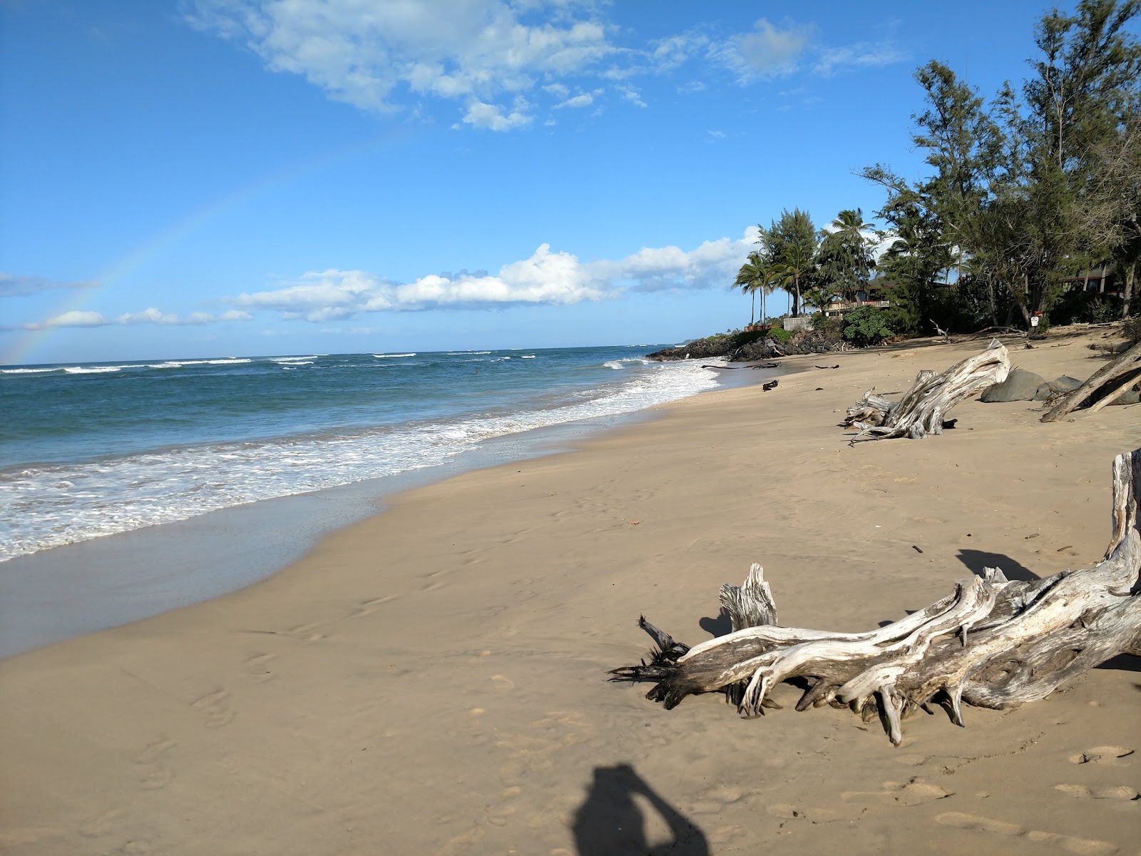 VOR Beach II'in fotoğrafı vahşi alan