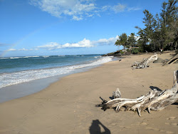 VOR Beach II'in fotoğrafı vahşi alan