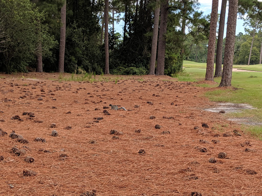 Golf Course «Kings North Golf Course», reviews and photos, 4900 National Dr, Myrtle Beach, SC 29579, USA