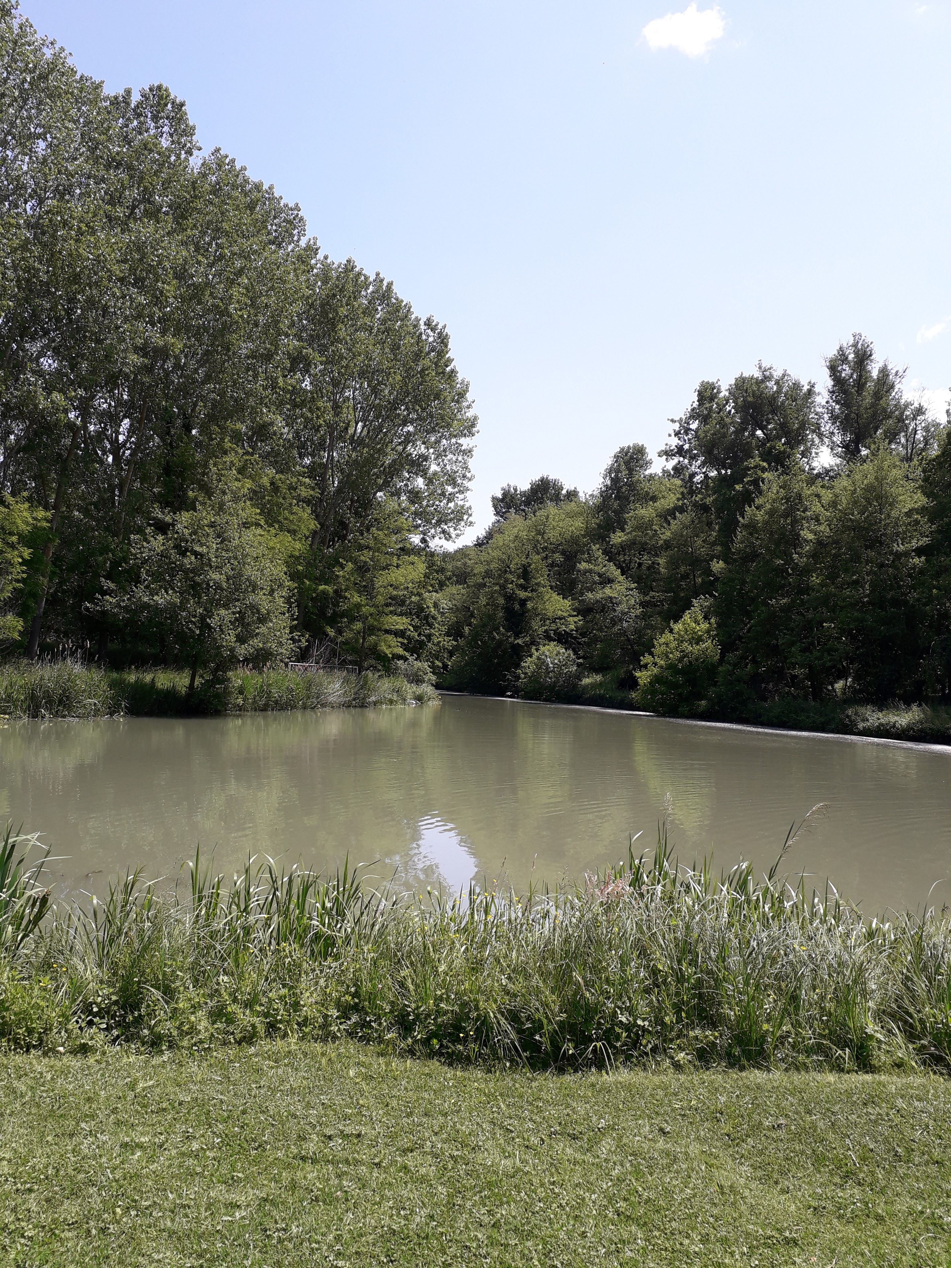 Photo n° 5 de l'avis de DOMINIQUE.A fait le 17/05/2023 à 18:42