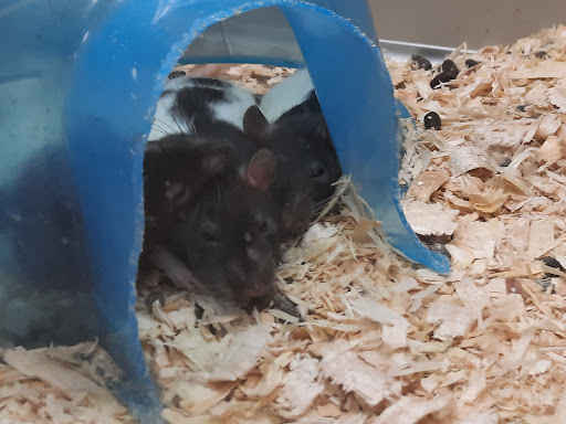 Pet Supply Store «Pet Expo Distributors», reviews and photos, 1800 Adams St, Mankato, MN 56001, USA