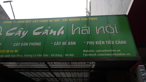 Top 20 cửa hàng cây kiểng Huyện Ba Vì Hà Nội 2022