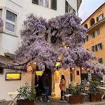 Photo n°1 de l'avis de Grit.c fait le 11/04/2023 à 20:35 sur le  Batzen Häusl à Bolzano