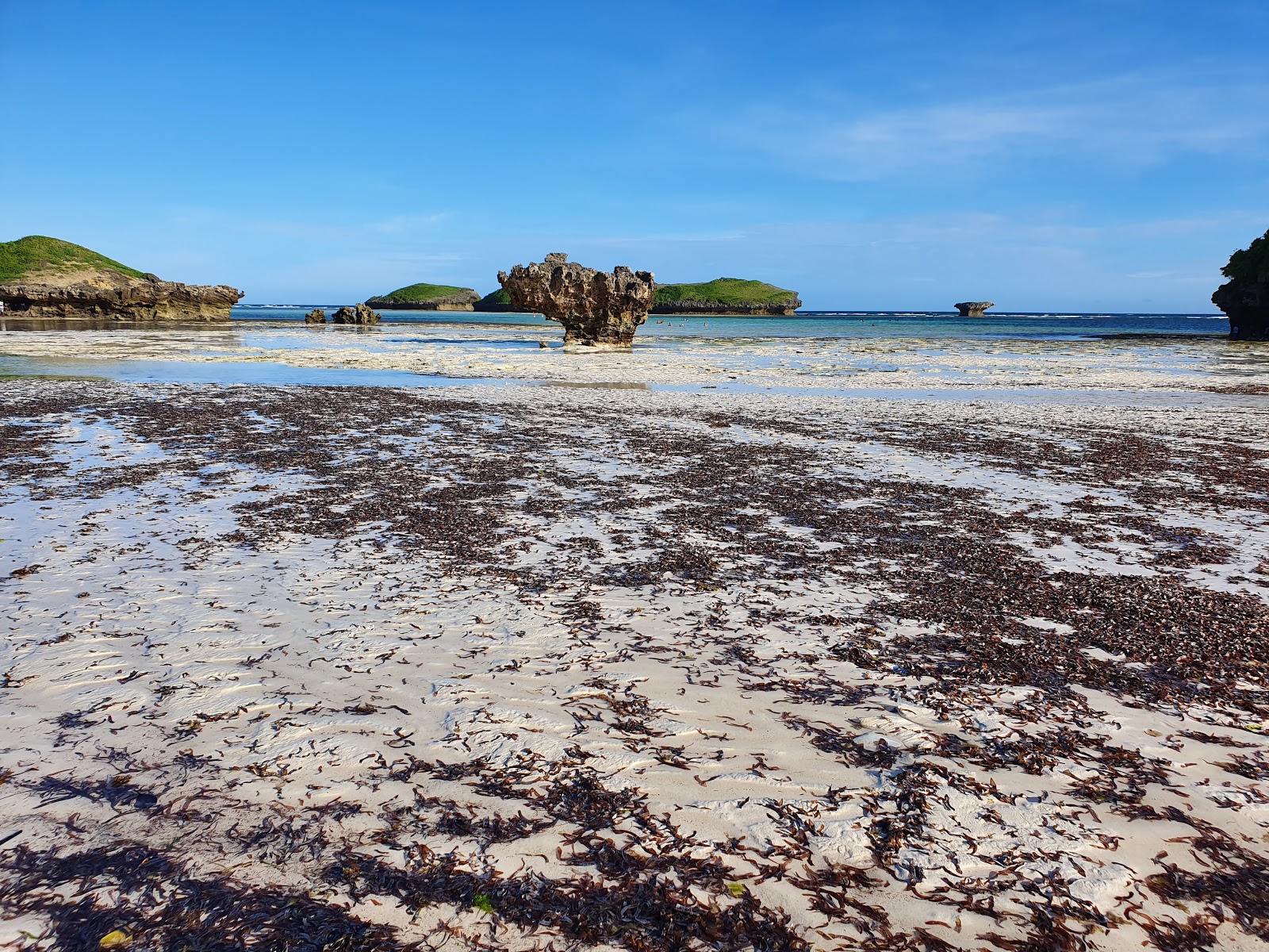 Watamu Bay photo #8