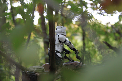 Nature Preserve «Arthur L. Janura Forest Preserve», reviews and photos, IL-58, Elgin, IL 60120, USA