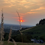 Photo n°1 de l'avis de Aline. fait le 18/06/2023 à 09:30 sur le  Pension Linz à Bühl