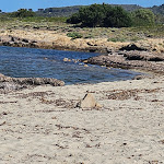 Photo n°1 de l'avis de Sezgin.i fait le 29/05/2023 à 21:36 sur le  Li Suari Club VIllage à San Teodoro