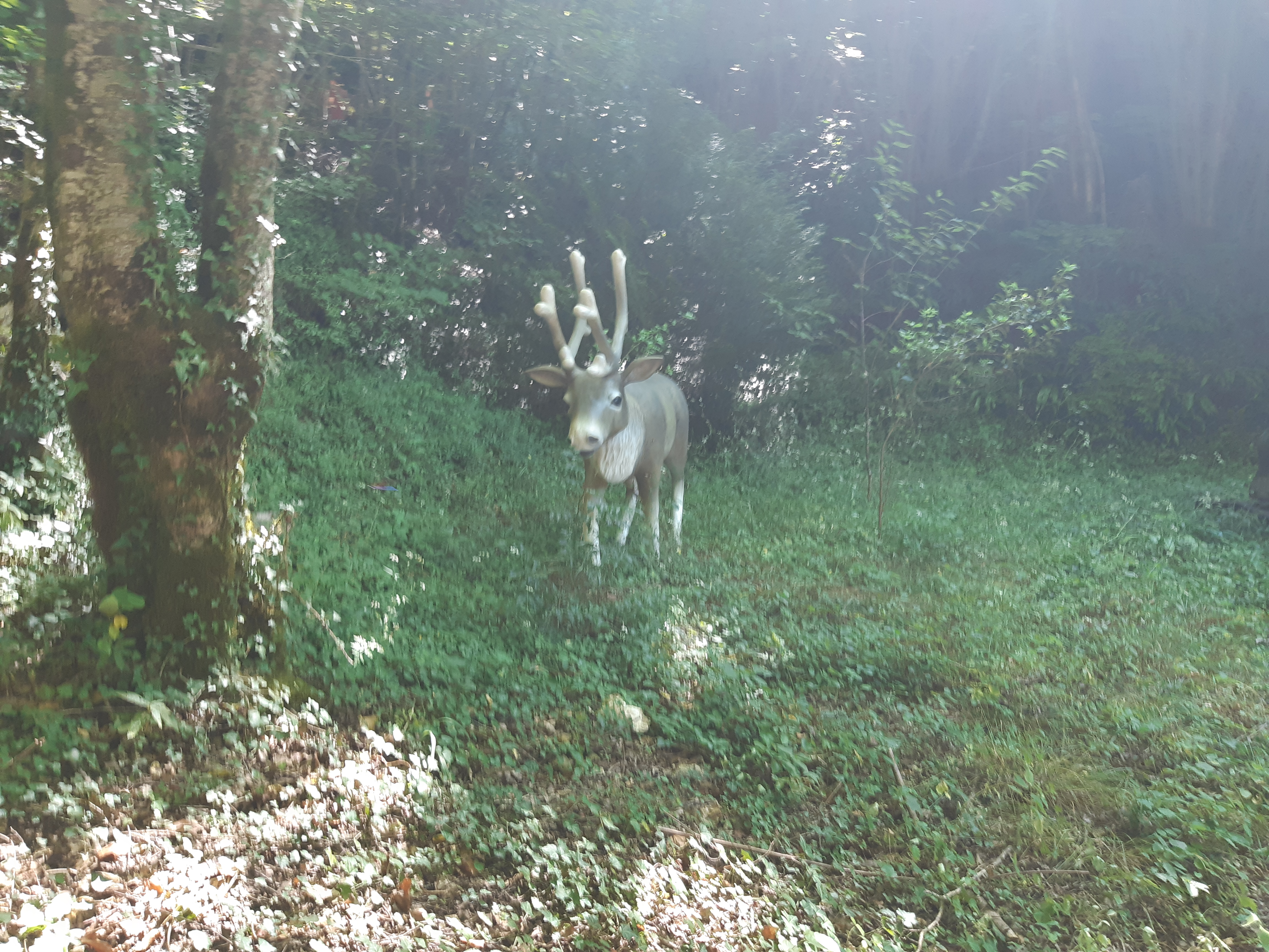 Photo n° 19 de l'avis de Pamela.e fait le 26/07/2018 à 11:23