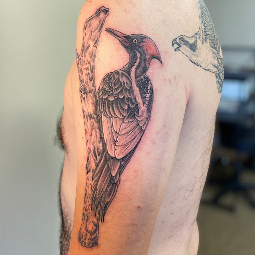 Explore mens tattoos on wrist ideas, creative tattoo ideas in Fort Collins, available at Meadowlark Tattoo