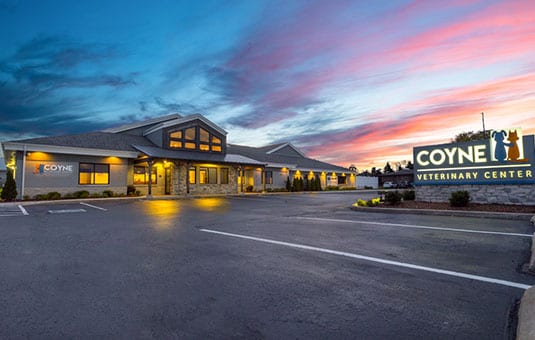 Coyne Veterinary Center - Portage, IN