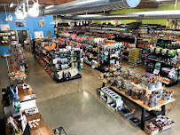 IB Pet - Photo 2 - Car repair in La Mesa, CA, San Diego