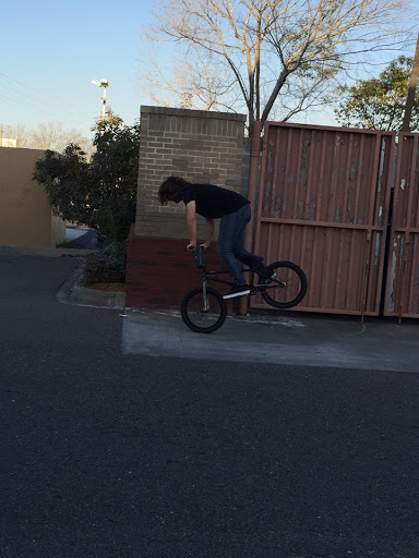 Bicycle Store «Area 51 Bicycle Shop», reviews and photos, 8350 Dorchester Rd, North Charleston, SC 29418, USA