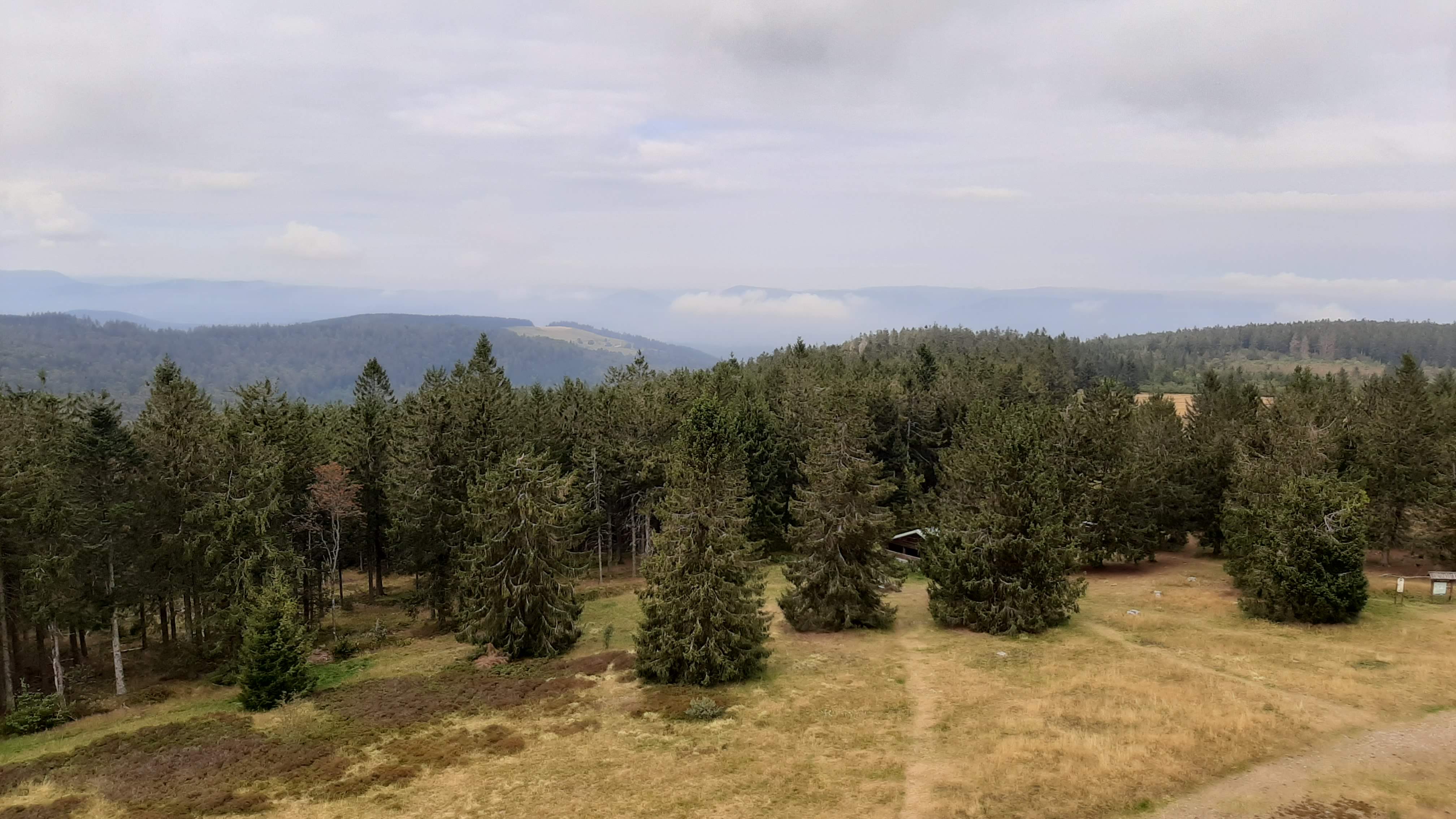 Photo n° 35 de l'avis de Raymond.e fait le 14/09/2020 à 14:20