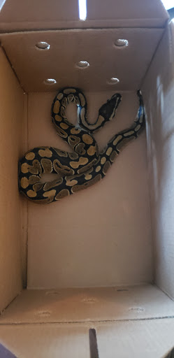 Pet Supply Store «Petco Animal Supplies», reviews and photos, 4915 E 41st St C, Tulsa, OK 74135, USA