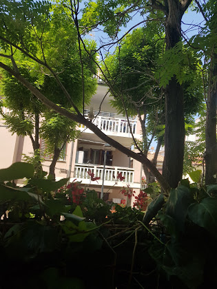 Extérieur hôtels Albergo Rita 47922 Viserba