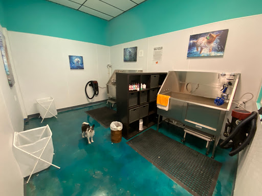 Pet Supply Store «Patton Avenue Pet Company- South», reviews and photos, 582 Hendersonville Rd #3, Asheville, NC 28803, USA