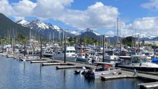 A-Z Sportfishing Charters 3922 Halibut Point Rd, Sitka, AK 99835