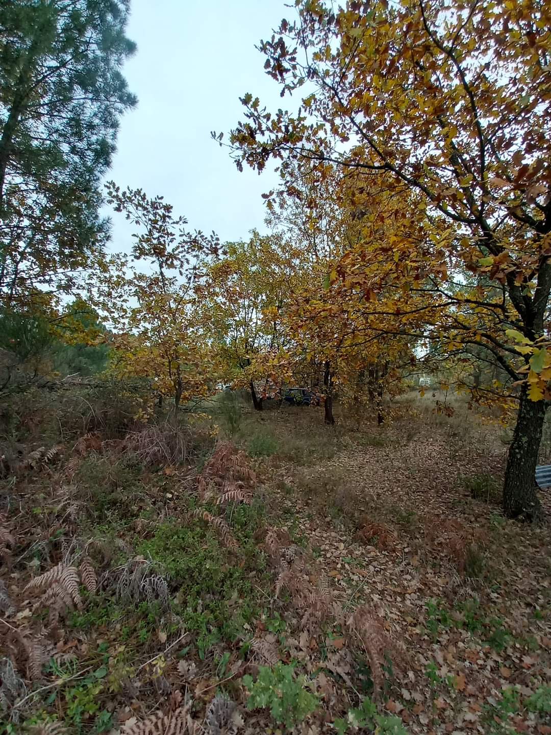 Photo n° 5 de l'avis de doudoune.l fait le 07/12/2022 à 10:55