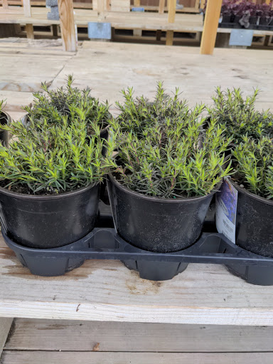 Home Improvement Store «Menards», reviews and photos, 3800 National Rd E, Richmond, IN 47374, USA