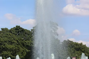 Roosevelt Fountain at Brookfield Zoo image