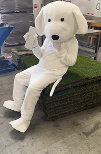 Fresh Patch Real Grass - Photo 5 - Car repair in Oxnard, CA, Oxnard