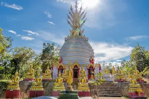 Wat Phra That Doi Tham image