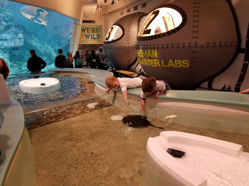 Science Museum «Discovery World», reviews and photos, 500 N Harbor Dr, Milwaukee, WI 53202, USA