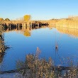 Sedona Wetlands Preserve
