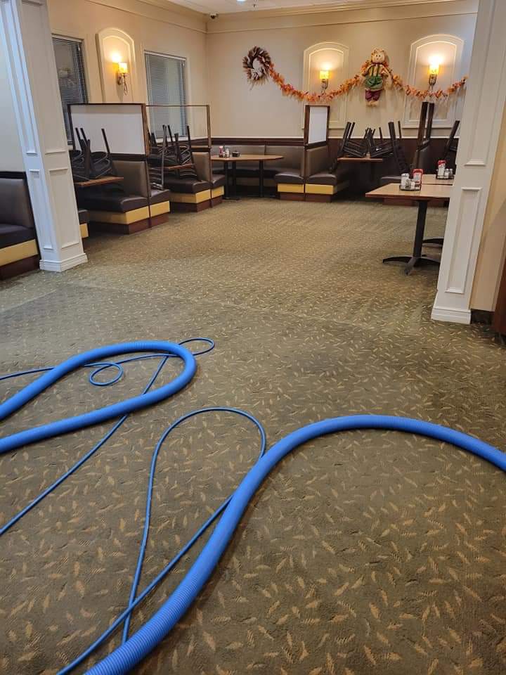 Champion Carpet & Upholstery Cleaning