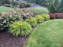 Keeping Paradise LLC - Photo 3 - Car repair in Keizer, OR, Salem