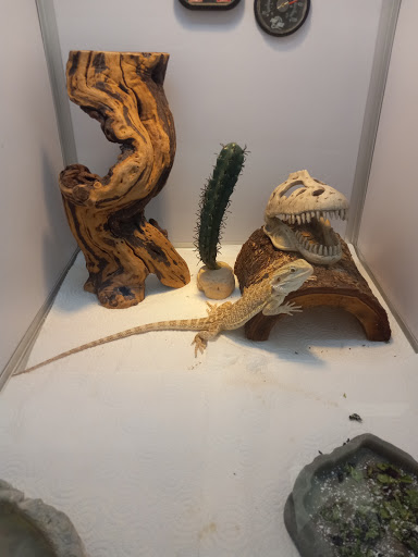 Hardware Store «Sebastopol Hardware Ctr», reviews and photos, 660 Gravenstein Hwy N, Sebastopol, CA 95472, USA