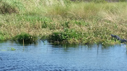 Tourist Attraction «Twister Airboat Rides», reviews and photos, 8199 W King St, Cocoa, FL 32926, USA